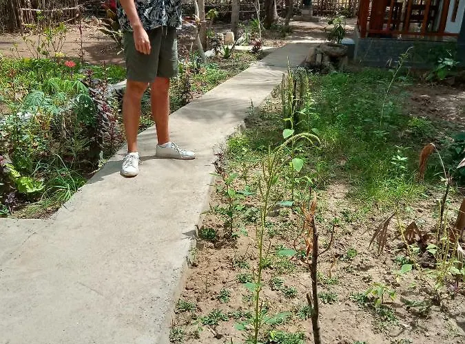 Caga Garden 2*